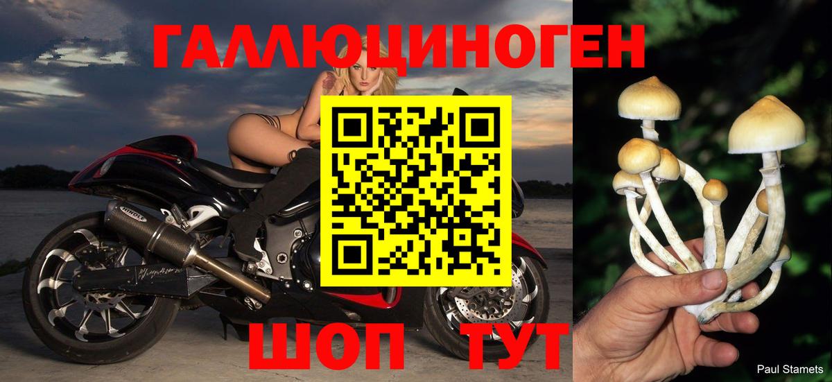Надым  Псилоцибиновые грибы прущие грибы  Вход с VPN 
