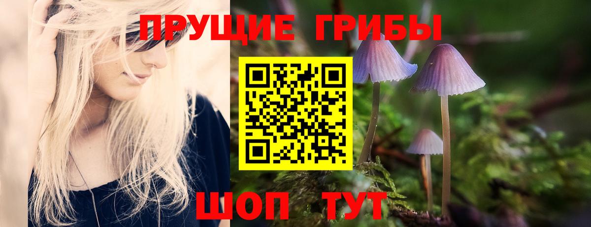 Псилоцибиновые грибы мицелий Надым
